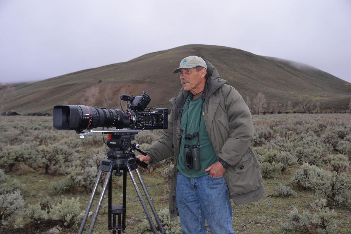 Bob Landis, of Gardiner, Montana, is a world-class wildlife filmmaker who specializes in Yellowstone National Park. (Scott Wolff / Courtesy)