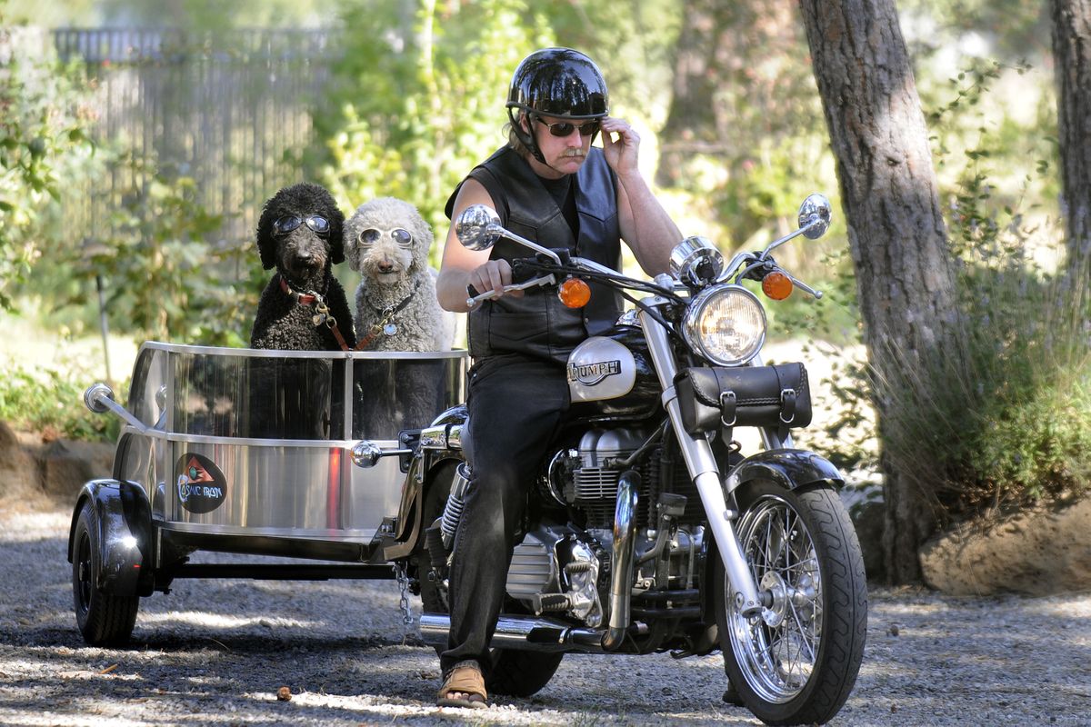 Chris Nielson adjusts his glasses after putting Doggles on Zulu, left, and Cosmo before going for a ride from his south Spokane home.  (Photos by Dan Pelle / The Spokesman-Review)