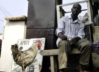 
A chicken hovers at the feet of a man in Lagos, Nigeria, on Wednesday. The H5N1 bird flu virus has been found in poultry stocks in Nigeria – the first reported case of the disease in Africa. 
 (Associated Press / The Spokesman-Review)