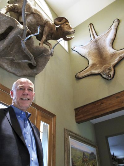 In this Oct. 5, 2016 photo, gubernatorial candidate, Republican Greg Gianforte poses below animal trophies in his home in Bozeman, Mont. Donald Trump Jr. will be targeting more than Republican voters when the president's son campaigns for U.S. House candidate Greg Gianforte in Montana on Friday and Saturday, leading to backlash from at least one animal-rights organization. Gianforte, who is up against Democrat Rob Quist in the May 25 election for the U.S. House seat vacated by Interior Secretary Ryan Zinke, is planning to take Trump on a prairie dog hunt during their four-city campaign tour. (Matt Volz / Associated Press)