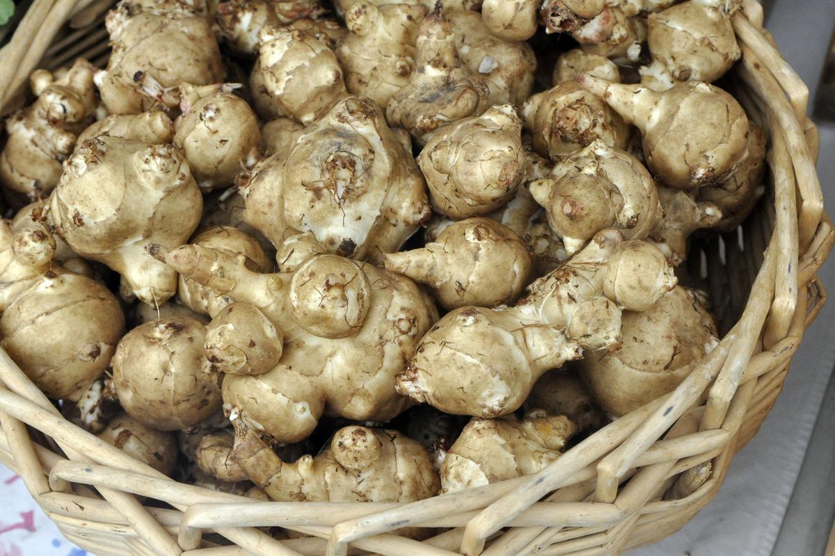 Sunchokes or Jerusalem artichokes. (Adriana Janovich / The Spokesman-Review)