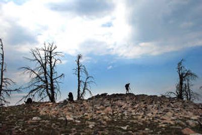 
The Continental Divide near Hope Lake was scorched in 2000 by forest fires that ran through Western Montana and left their mark on vast areas of the Anaconda-Pintler Wilderness. 
 (Rich Landers / The Spokesman-Review)