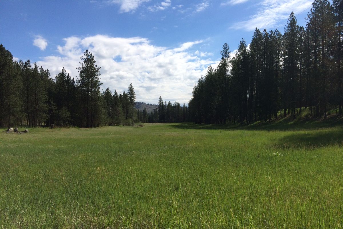 Spokane County acquired 280 acres on June 5, 2015, known as the Trautman property in the Nine Mile area adjacent to Riverside State Park. The land was acquired with county Conservation Futures funding and will be managed by the County Parks Department (Spokane County Parks)