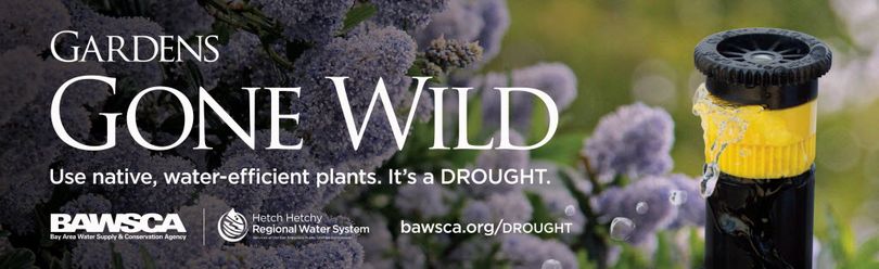 An advertising campaign inspired by drought encourages California residents to landscape with native plants that need less water.  The ads also encourage people to take shorter showers and use brooms to sweep instead of hosing off driveways and sidewalks. (San Francisco Public Utilities Commission)