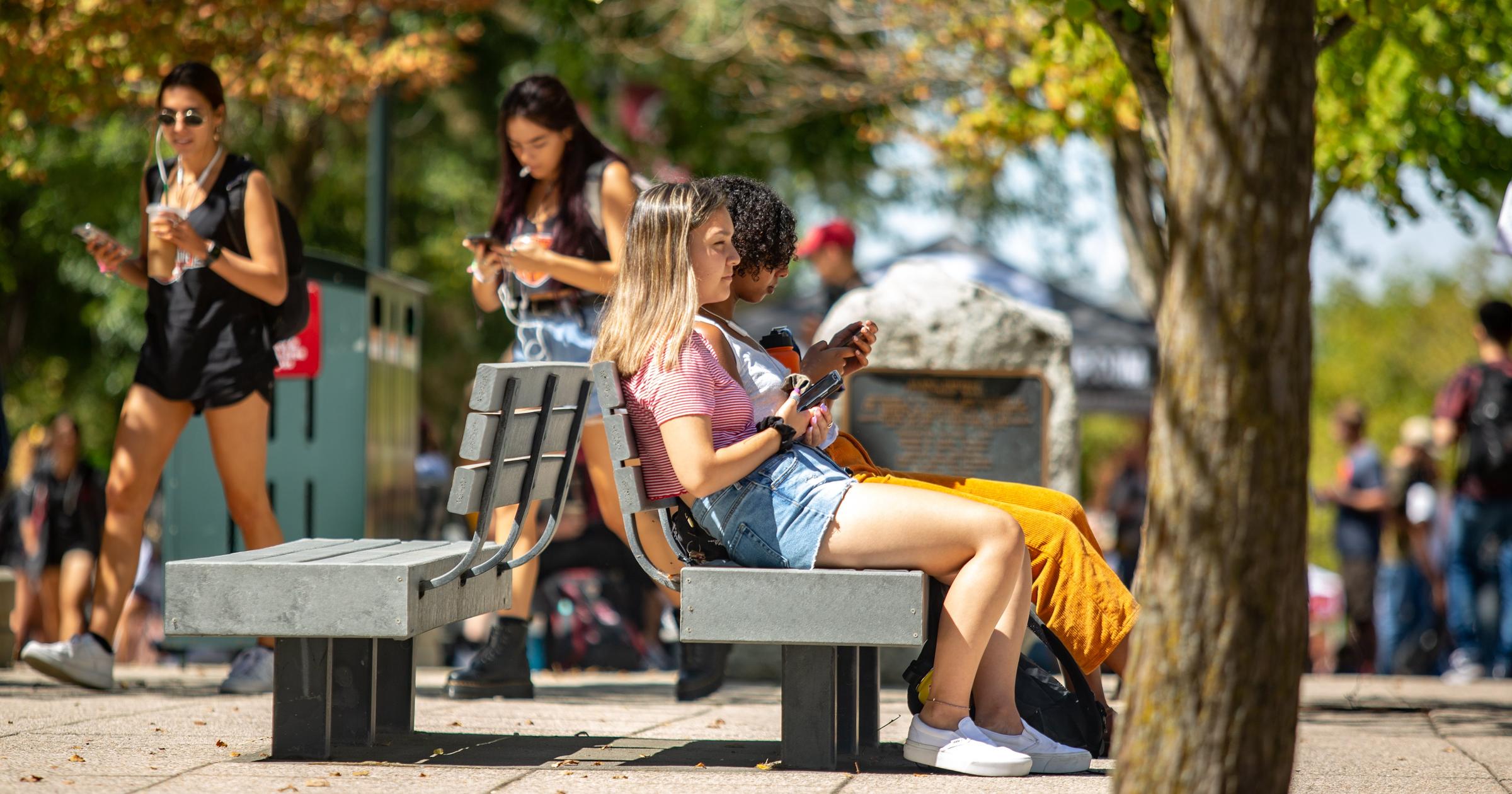 Washington State University officials announce end of fall Greek life rush as part of first year student initiative