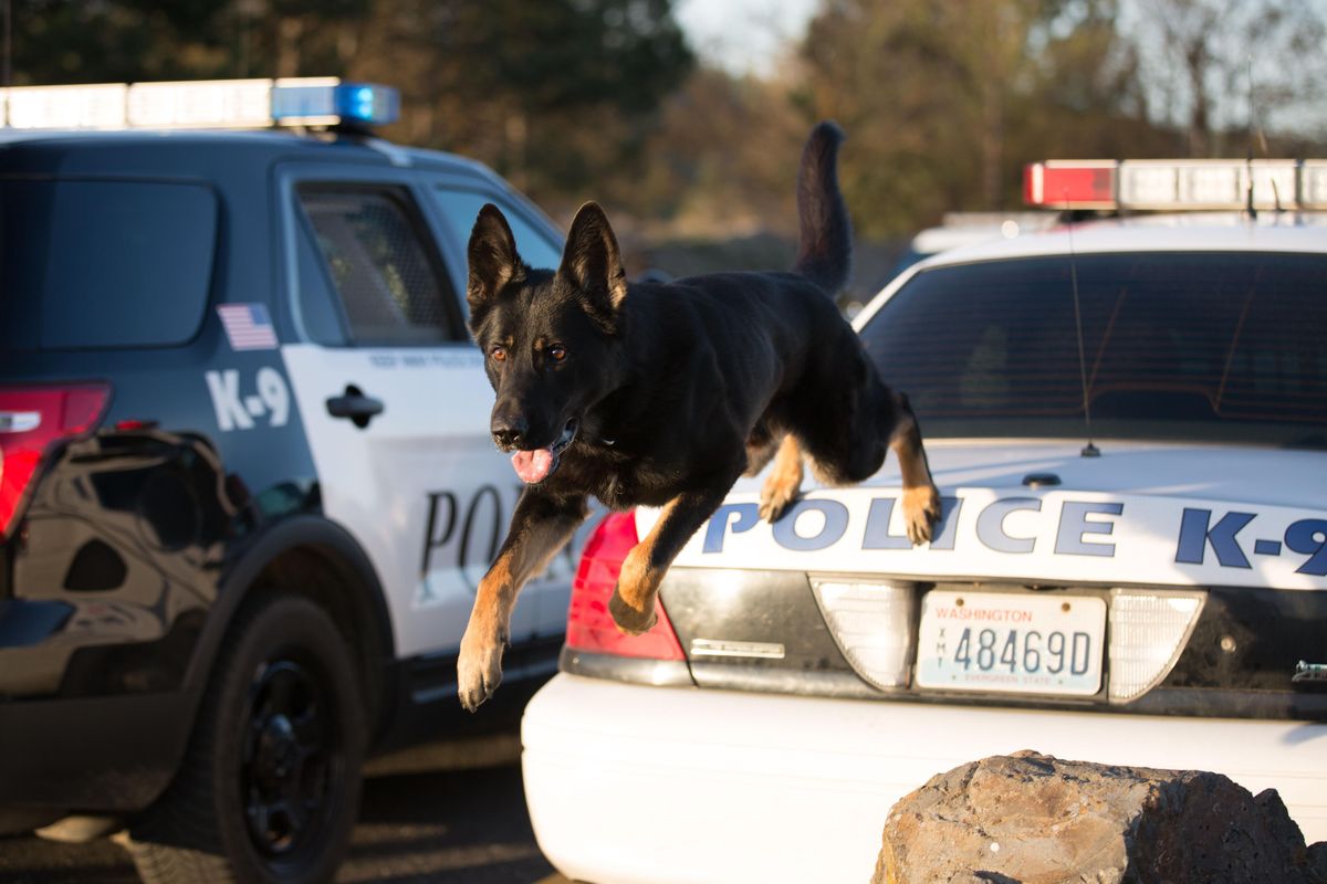 Officer Todd Belitz and Zeus will be at Fido Fete on Saturday. (Photos courtesy of Carla Blazek)