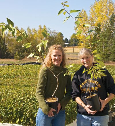  (The Spokesman-Review)