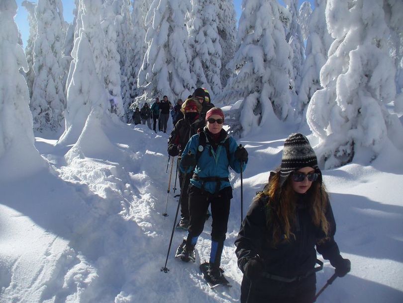 Snowshoers join a First Day Hike at Mount Spokane on Jan. 1, 2016. (Cris Currie)
