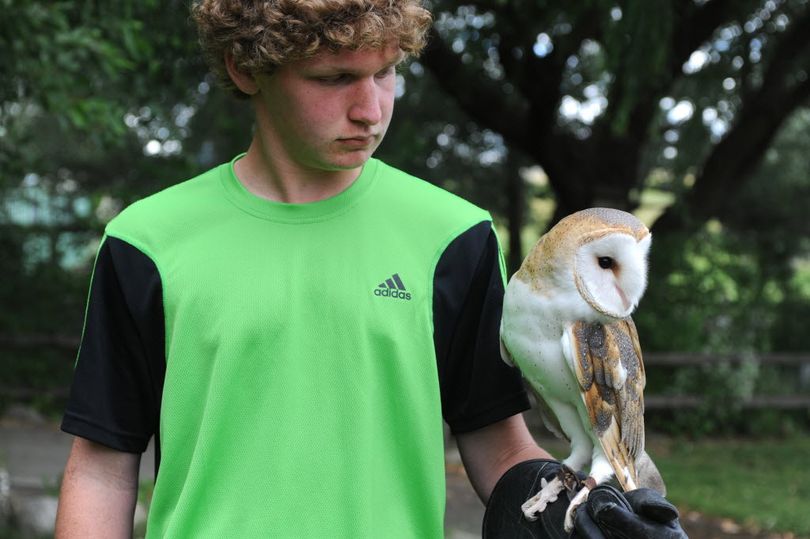 At the Outdoor Learning Center in Spokane Valley, volunteer Chris Hatten, 14, holds a barn owl named Willie,during an open house at the center July 22. (Jesse Tinsley)