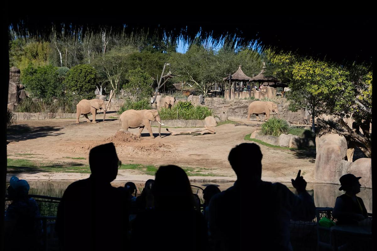 The view from Elephant Valleyâ€™s Mkutano House, a two-story dining destination in the new space at the San Diego Zoo Safari Park. (Allen J. Schaben/Los Angeles Times/TNS)  (Allen J. Schaben/Los Angeles Times/TNS)
