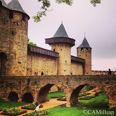  (Cheryl-Anne Millsap / Photo by Cheryl-Anne Millsap)