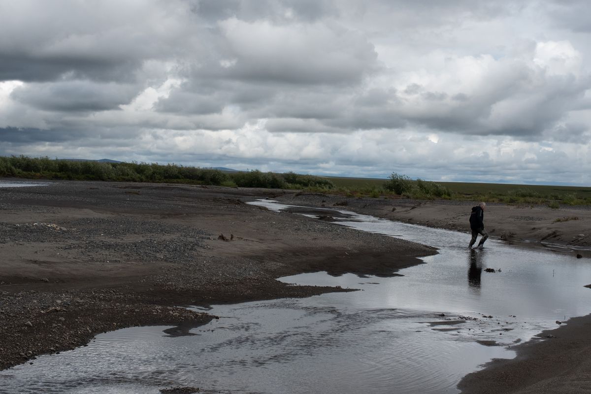 Cary Kopczynski crosses a stream flowing into the Noatak River in the Arctic Circle on Aug. 5, 2022.  (By Eli Francovich/The Spokesman-Review)