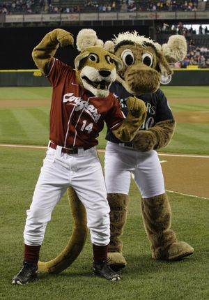 "Butch," the Washington State University Cougar's mascot, left, clowns around with "Moose," the Seattle Mariners' mascot, prior to an MLB baseball game between the Los Angeles Angels and Seattle Mariners, Friday, June 4, 2010, in Seattle. (Ted Warren / Associated Press)