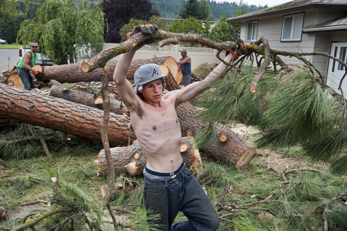 Hired worker Quinten Christenson, 20, piles branches from a fallen tree near the corner of Barnes Road and Whitehouse Street on Aug. 8. Two powerful windstorms left homeowners with extensive damage to clean up. (Dan Pelle)