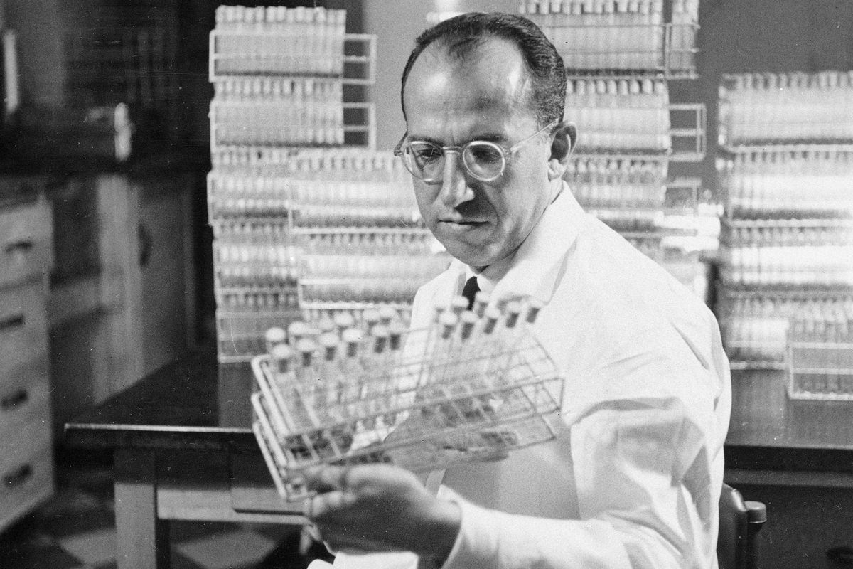 FILE - In this Oct. 7, 1954, file photo, Dr. Jonas Salk, developer of the polio vaccine, holds a rack of test tubes in his lab in Pittsburgh. Tens of millions of today