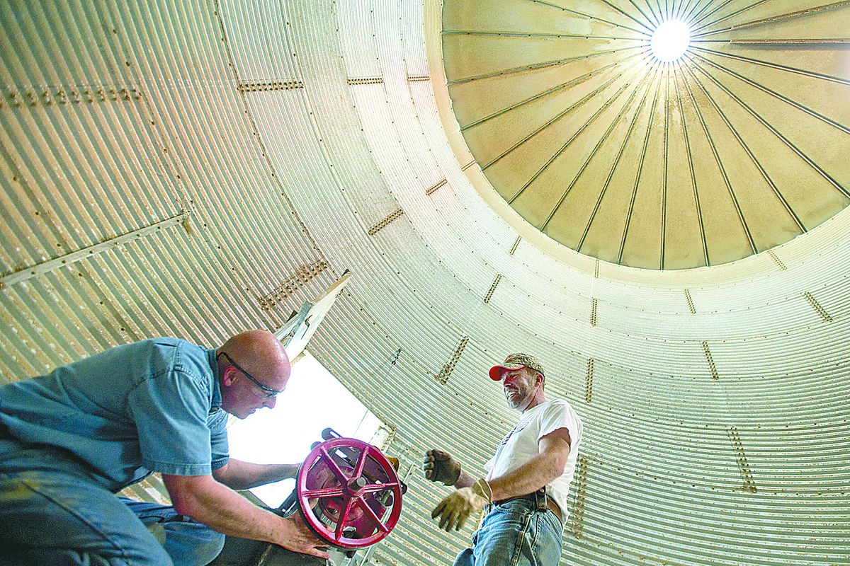 Brothers Brian, left, and Gary Largent laugh as they repair a grain unloading system inside one of their silos Monday at the family farm near Colfax. They were unloading wheat that had been stored in silos during the winter, trucking it to the Almota Elevator, and reconfiguring the silos for the spring growing season. (Tyler Tjomsland)