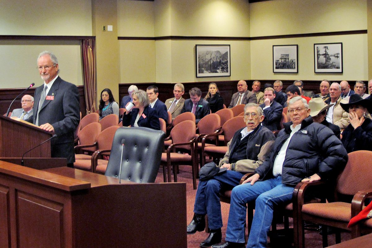 Idaho Racing Commission Executive Director Frank Lamb speaks in front of the Senate State Affairs Committee on Friday in Boise. (Associated Press)