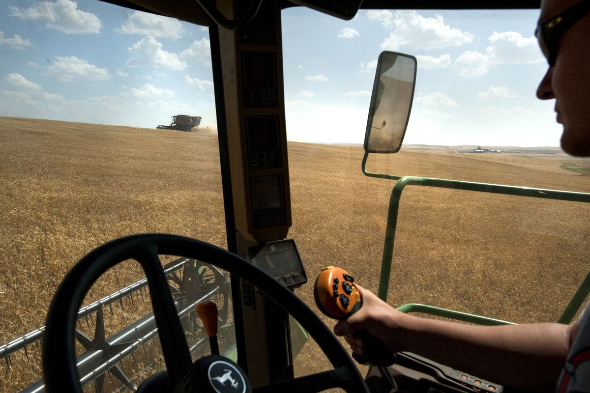 Joel Zwainz pilots a combine as he harvests wheat with his father, Tom, on Monday in Reardan, Wash. (Tyler Tjomsland)