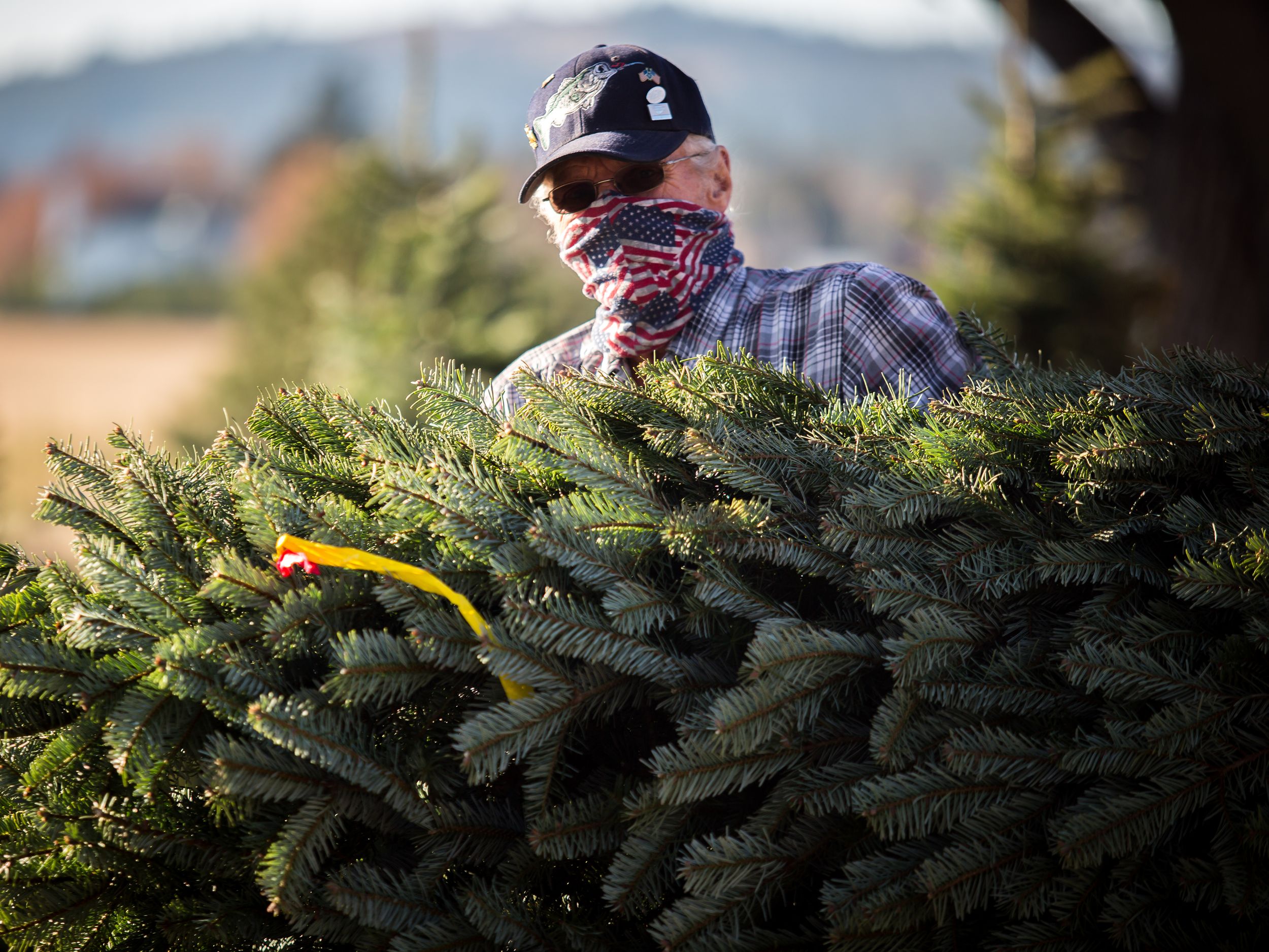 Hutton Settlement Christmas Trees 2022 Hutton Settlement Christmas Tree Farm's First Weekend Of The Season Brings  Record-Breaking Sales | The Spokesman-Review