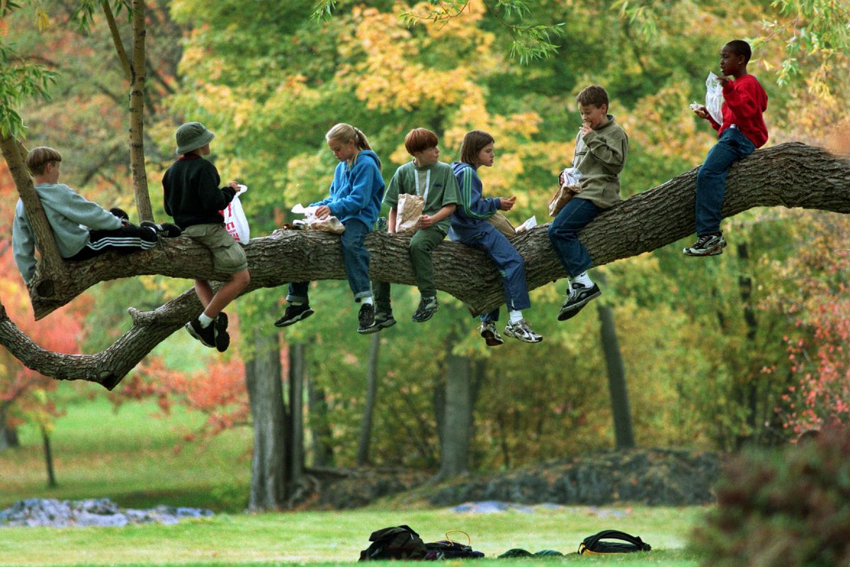 Students from Woodridge Elementary line a branch from the white willow at Finch Arboretum during a lunch break from a field trip in 1994.  (The Spokesman-Review photo archive)