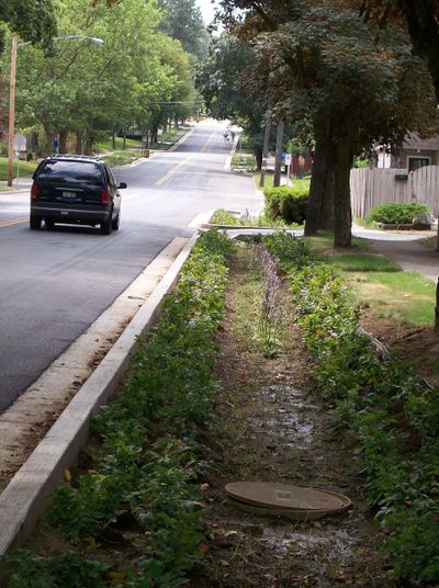 Lincoln Street on the city’s South Hill  has new pavement and a series of innovative “storm gardens” to collect runoff.  (File)