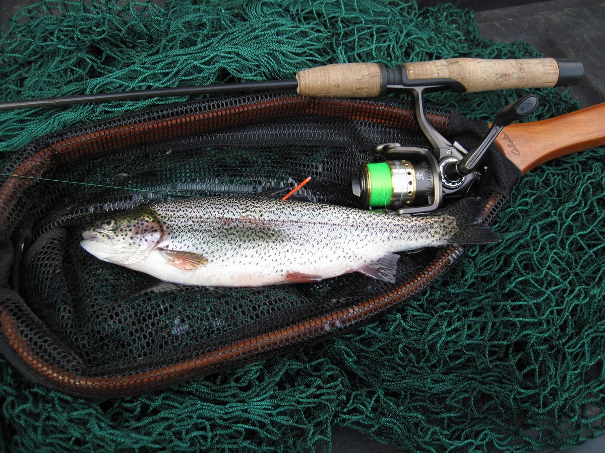 Washington tags trout for derby prizes The SpokesmanReview