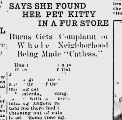 A woman who lost her cat posited a ring of young men selling neighborhood felines to a local furrier. (S-R archives)
