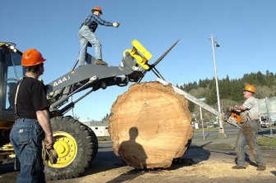 
A-1 Timber owner Tom Loushin, right, prepares to cut a slice of wood off the top of the new 7-foot McKinley Stump Thursday at the Lewis County Historical Museum in Chehalis, Wash., with the help of A-1 Timber workers Dan Ward, center, and Vance Steen.  Associated Press
 (Associated Press / The Spokesman-Review)