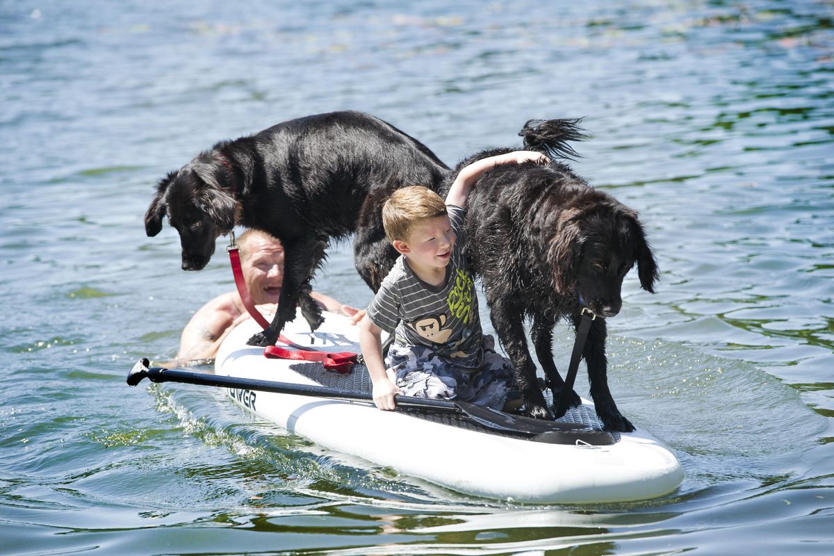 Kaden Lang, 5, takes a spin on Shaundra Leiss’ (not pictured) paddle board and hangs on to her dogs, Einstein, left, and Norbert, right, as his uncle Dusty, pushes the trio through knee-deep water on Monday, June 6, 2016, at Fish Lake near in Cheney. Leiss loaned the boy the paddle board after he expressed interest in it. (Tyler Tjomsland / The Spokesman-Review)