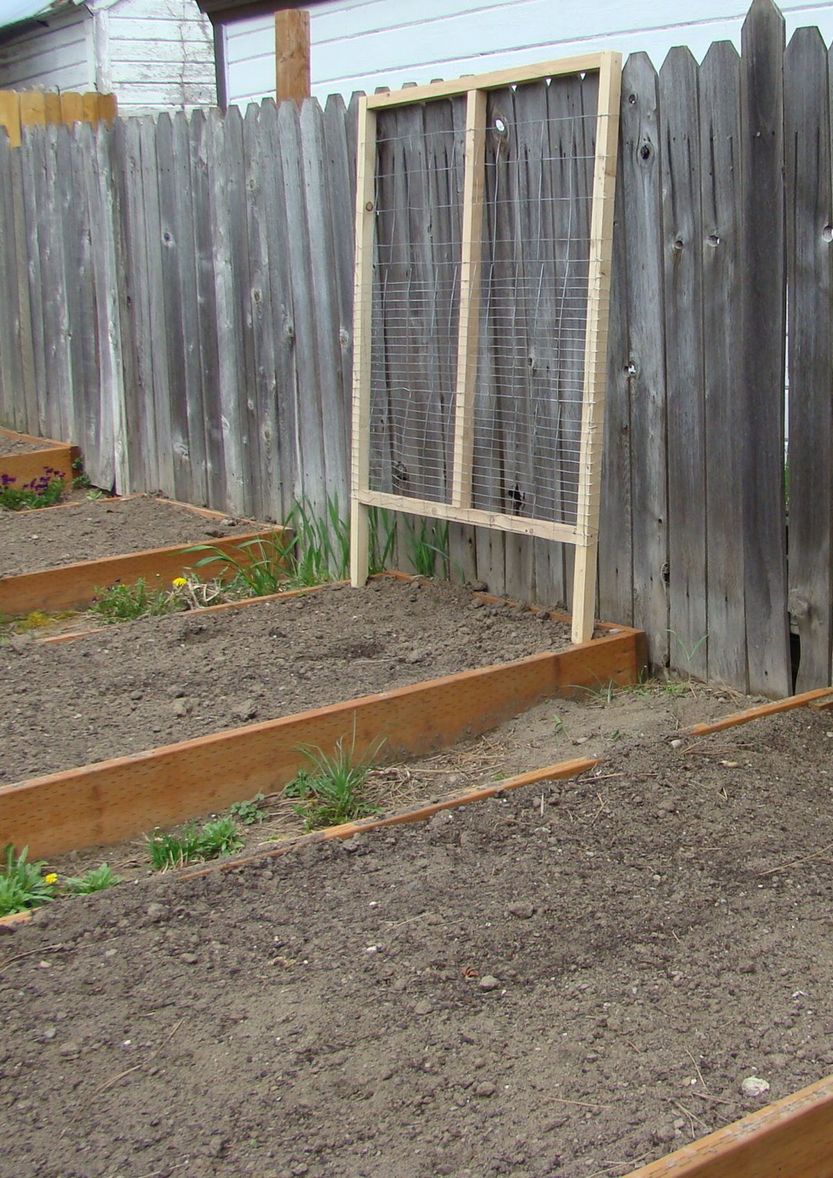 A quick garden trellis is easy to put together and will allow for more growing space in the garden. (Maggie Bullock)