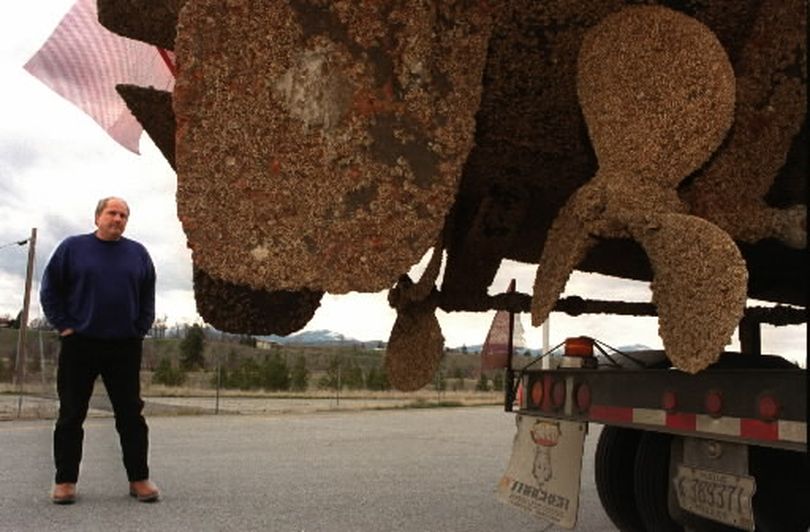 This zebra mussels on this boat indicte why state officials are concerned about spread of the exotic species in northwest waterways. In this case, a Florida man trailered his boat across the country before being stopped at State Line by Washington State Patrol officers. The mussels can spread wildly when reintroduced to other waters.