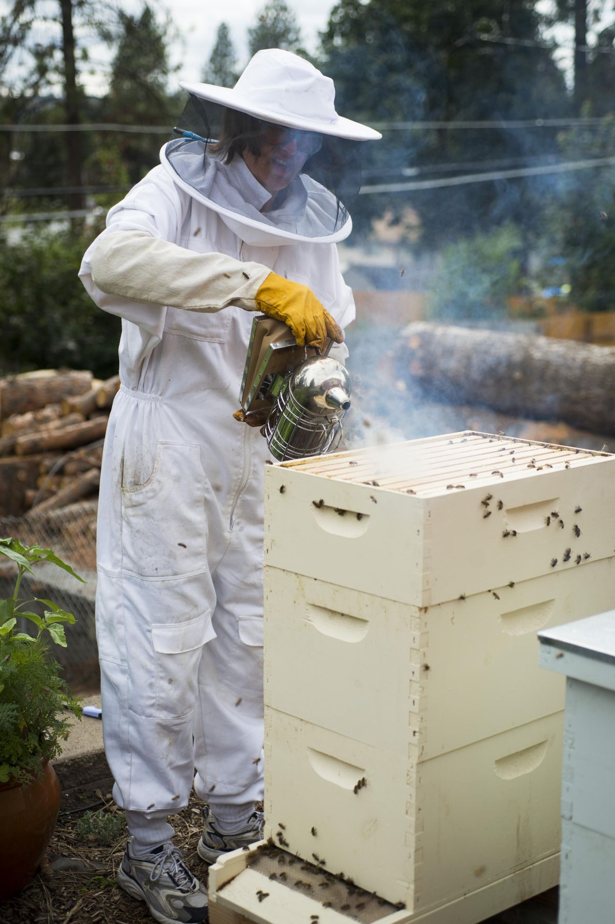 Home beekeeper Bethe Bowman uses a smoker to calm her honeybees as she inspects her backyard hive. “I think it’s important that you help Mother Nature. I think we owe it to the bees,” she said. (Colin Mulvany / The Spokesman-Review)