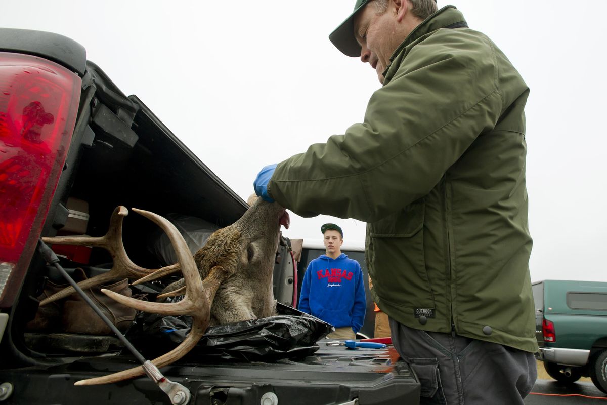 At the truck weigh station north of Deer Park, wash., Jay Shepherd an assistant district biologist with the Washington Department of Fish and Wildlife, takes teeth and tissue samples on whitetail buck shot by Andrew Waltnerof Auburn, Wash. (in back.) Idaho wildlife officials have taken additional steps to prevent chronic wasting disease from entering the Gem State by banning the import of deer, elk or moose carcasses from areas with documented cases of chronic wasting disease. (Colin Mulvany / The Spokesman-Review)