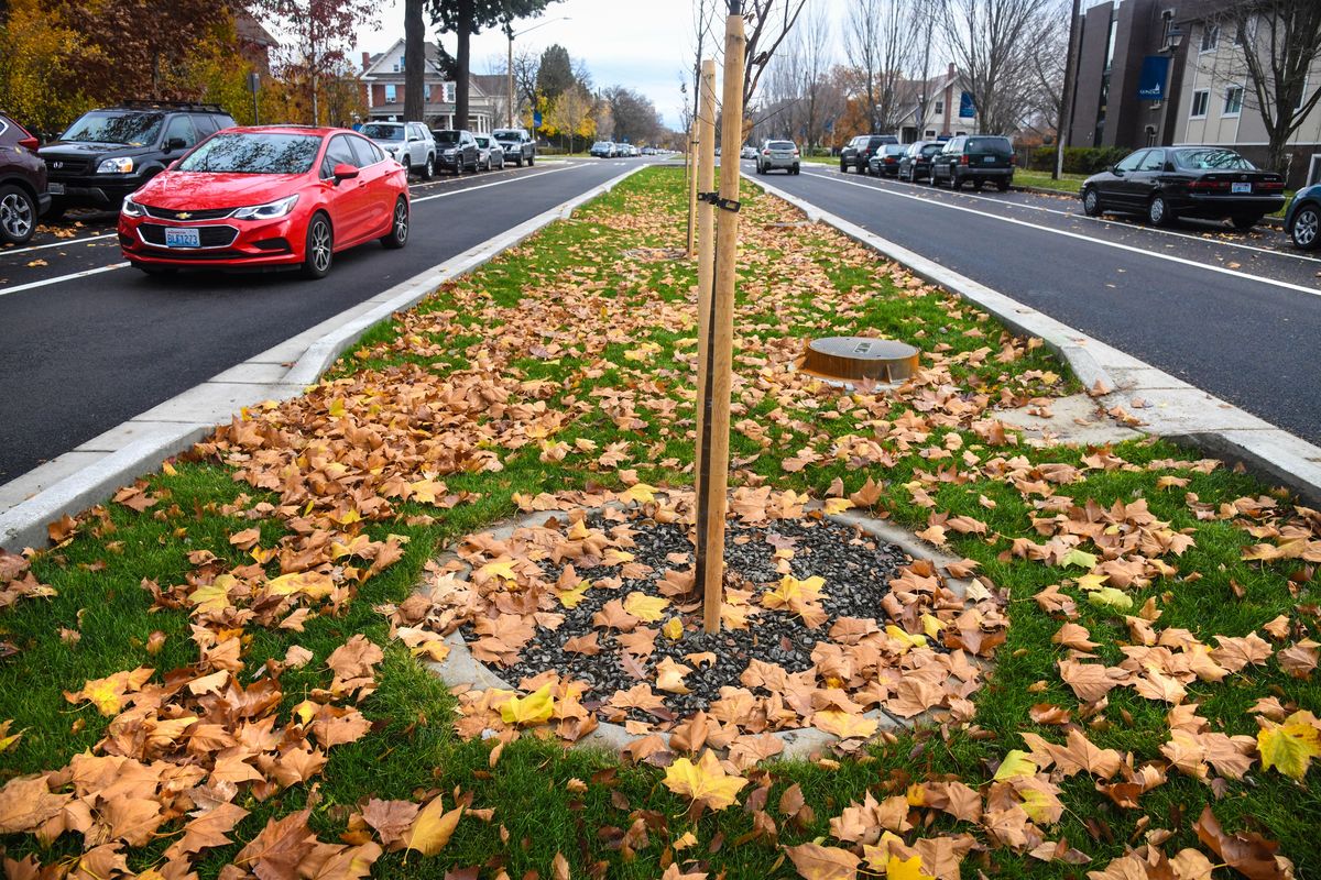 There is now only one lane of travel each way on the new Sharp Avenue, Friday, Nov. 2, 2018. (Dan Pelle / The Spokesman-Review)