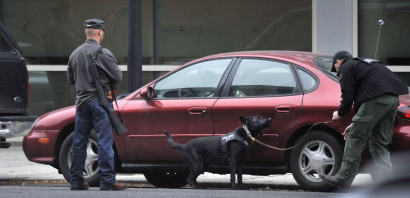 A U.S. Marshal guides a dog around parked vehicles outside Banner Bank in downtown Spokane after a bomb threat by a robbery suspect today. (Dan Pelle / The Spokesman-Review)