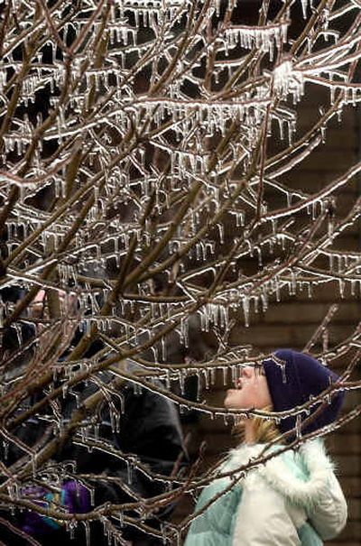 
Emilee Liston, 10, tries to taste an icicle hanging from a tree in her front yard on Washington Avenue in Cicero, Ind., Wednesday after an ice storm hit the area. 
 (Associated Press / The Spokesman-Review)