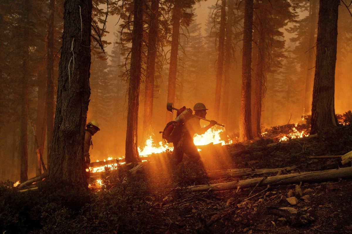 Firefighter Cody Carter battles the North Complex Fire on Sept. 14 in Plumas National Forest, Calif.  (Noah Berger)