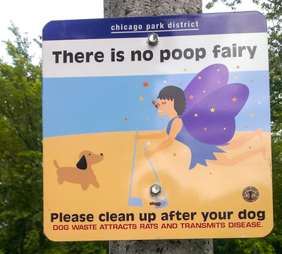 Please carry bags and pick up after your dog.