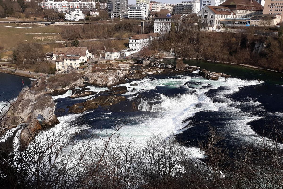 The Rhine River’s waterfall, at 75 feet high and 500 feet wide, is by most measures Europe’s largest. The falls are located roughly 50 miles upstream from Basel, Switzerland, the furthest point for the typical Rhine River cruise. (Walter Nicklin / Walter Nicklin)