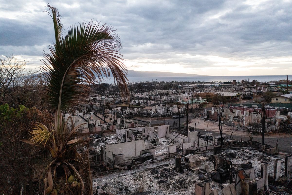 Burned homes and vehicles in a neighborhood that was destroyed by the wildfire in Lahaina, Hawaii, on Aug. 25, 2023.    (Tamir Kalifa/For The Washington Post)