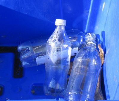 The word is getting out, at least in America, about the importance of recycling as much as possible. But other parts of the world may not have the same resources available to properly recycle products like plastic bottles.  (Cheryl-Anne Millsap / Down to Earth NW)