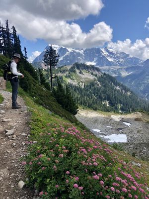 Plenty of wildflowers were one of the highlights of a recent hike near Mount Baker. (Leslie Kelly)