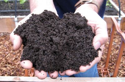 Add compost and other organic materials to replenish the nutrients in your soil. Special to  (SUSAN MULVIHILL Special to / The Spokesman-Review)