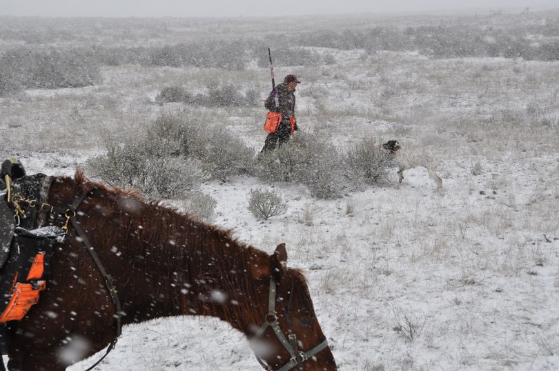 Cheney-area dog trainer Dan Hoke works a field trial bird dog by horseback in Lincoln County as a weather front moved into the region.   (Rich Landers)