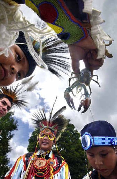 
Falon Tyler Sinclair, 8, examines a crayfish with, from left, Daniel Fairbanks, 18, Earvin Paskemin, 13, and Jake Stenrom, 8, after the grand entry during Saturday's powwow at Spokane's Riverfront Park. 
 (Jed Conklin / The Spokesman-Review)