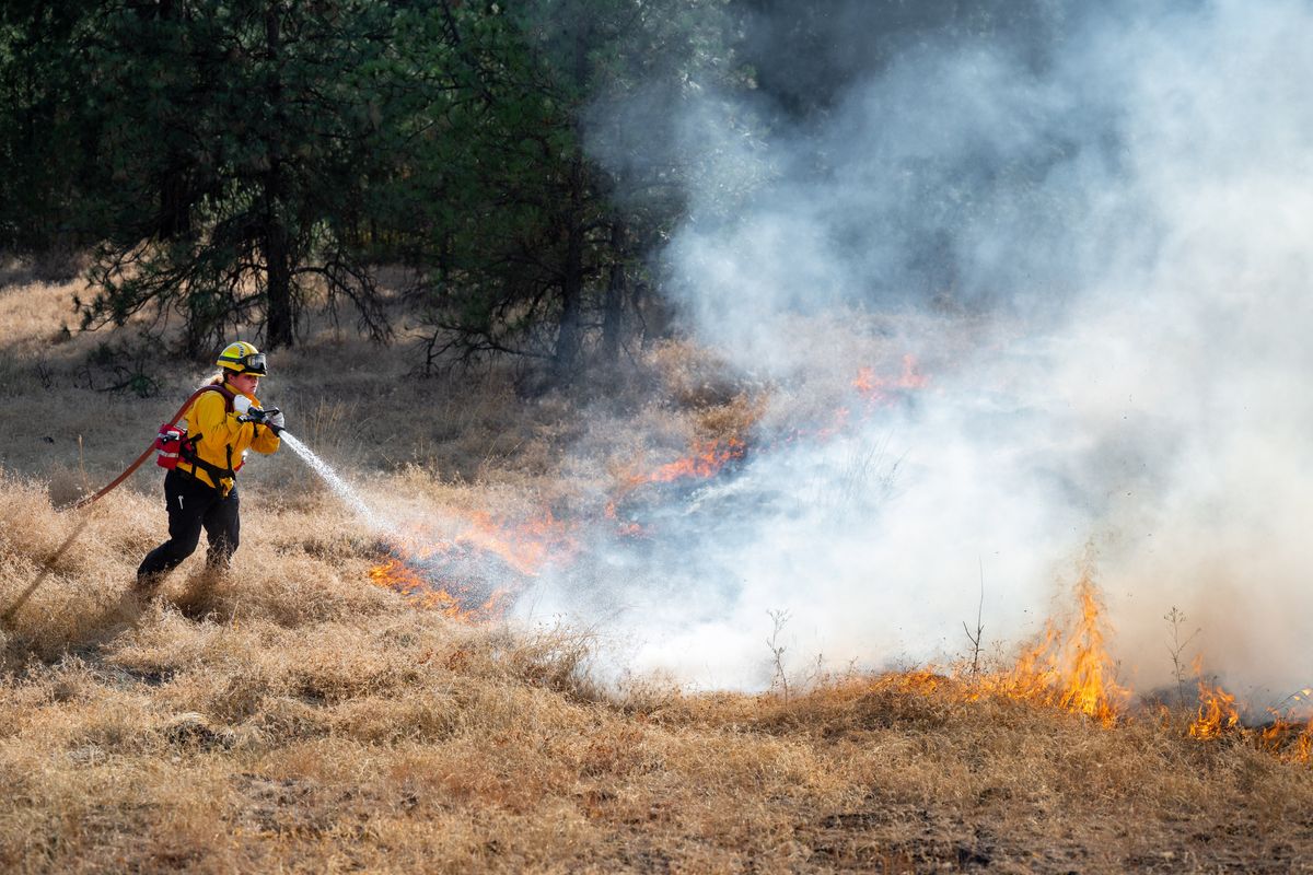 A Fire District 10 firefighter hoses down flames approaching Rimrock Drive west of downtown Spokane on Friday. After sending a plume of smoke over much of northwest Spokane on Friday, firefighters were in the mop-up stage on Sunday with containment expected to grow.  (COLIN MULVANY/THE SPOKESMAN-REVI)
