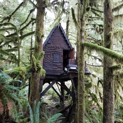 This photograph of an illegally built cabin in the Mount Baker-Snoqualmie National Forest was included in a warrant obtained by the FBI to search suspect Daniel Wood’s Mill Creek condo. (FBI Seattle Field Office / Courtesy)