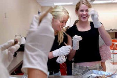 
Jordan Kincheloe, left, and Darcy Collins, 11th-graders at Kootenai High School, dissect a rat in their new science lab at the school near Harrison on Thursday. It took four levy attempts before voters OK'd the $3 million bond for the new building in 2002. 
 (Kathy Plonka / The Spokesman-Review)