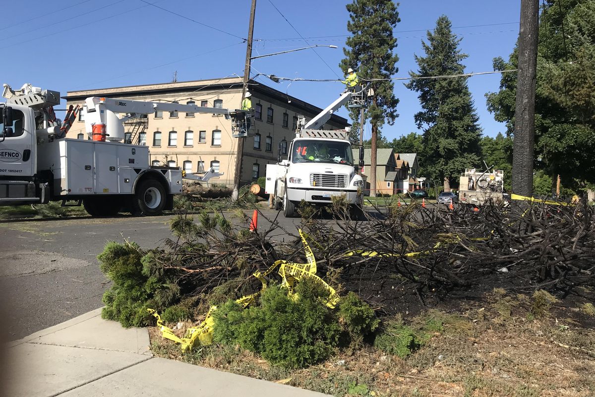 Lightning struck this tree in Browne’s Addition near the Rosauers store late Tuesday, July 23, 2019. (Jonathan Glover / The Spokesman-Review)