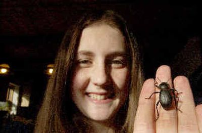 
Cierra Olmstead holds a common black beetle at her home in Spirit Lake. She collects live bugs as well as dead ones. 
 (Kathy Plonka / The Spokesman-Review)